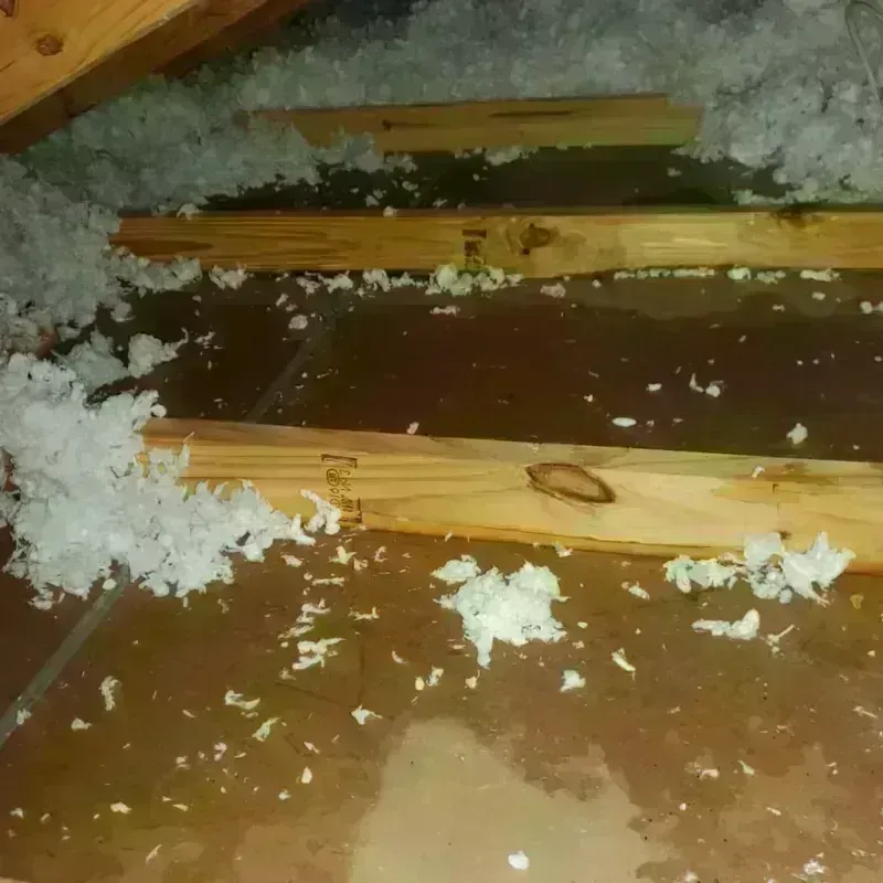 Attic Water Damage in Richfield, OH