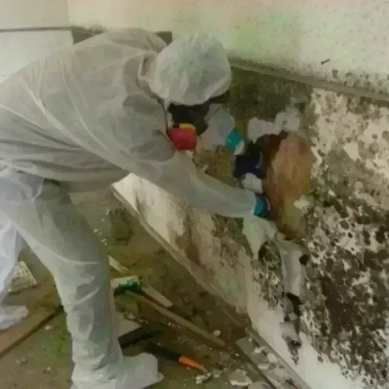 Mold Remediation and Removal in Richfield, OH