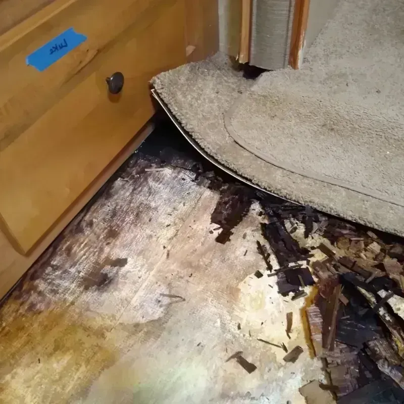 Wood Floor Water Damage in Richfield, OH